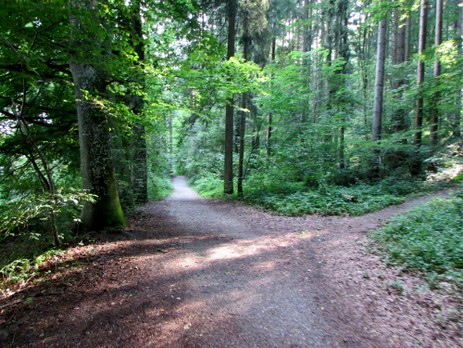 Bannwald Ottobeuren