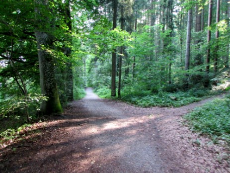 Bannwald Ottobeuren