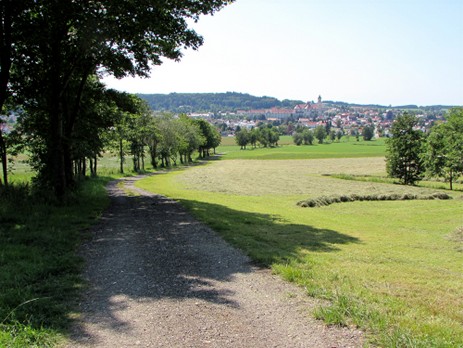 Blick von Guggenberg auf Ottobeuren