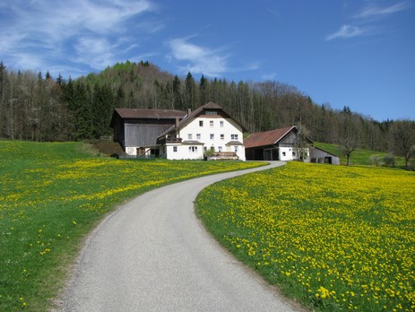 Die Schloßmühle Liebenthann