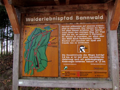 Walderlebnisweg Bannwald